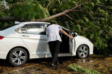 Verkehrsunfallhaftung – Beifahrerverletzung durch umstürzenden Baum